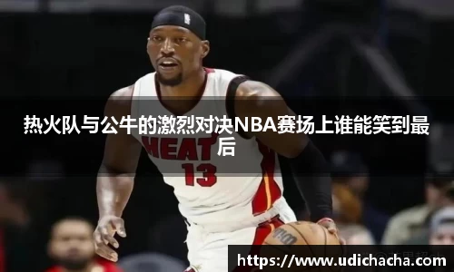 热火队与公牛的激烈对决NBA赛场上谁能笑到最后